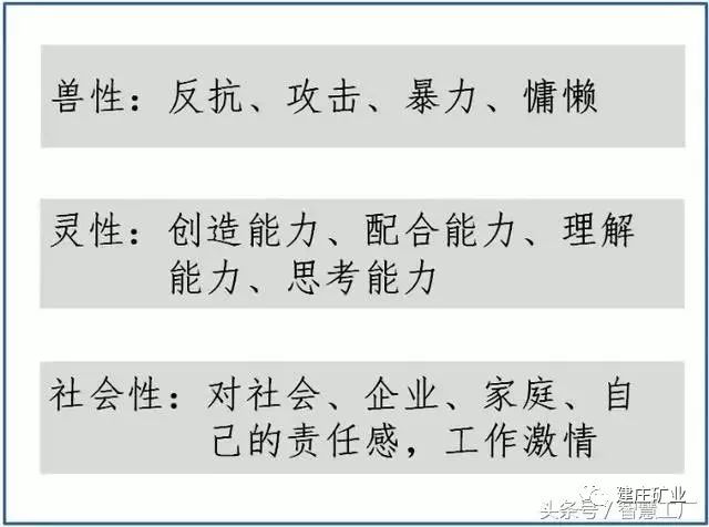 2025秒懂澳门一肖三期必开一一特一中厂-仔细释义、解释与落实