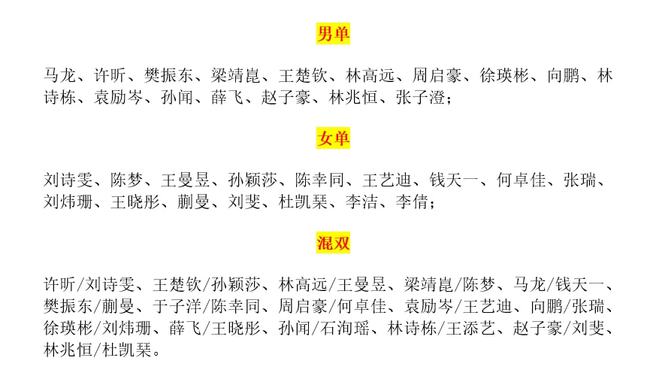 澳门今晚开特马四不像图,全面释义解释与落实展望