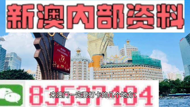 2025年新澳门精准免费大全,公证解答解释与落实展望