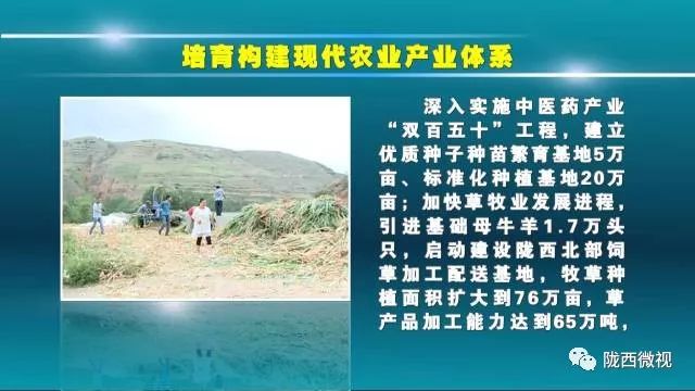 新奥最精准免费大全最公平公正是合法吗?,民主解答解释与落实展望