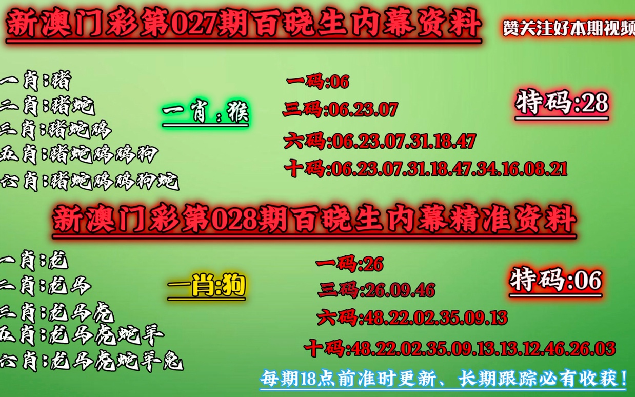 澳门和香港一肖一码一必中一肖同舟前进,全面释义解释与落实展望